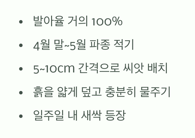 씨앗 뿌리기, 이렇게 쉽다고?