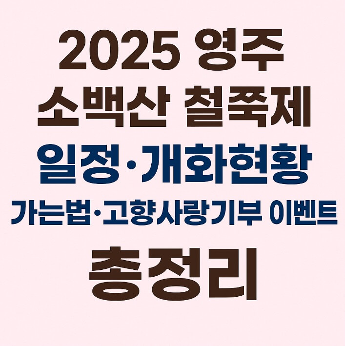 2025 영주 소백산 철쭉제 일정, 개화현황, 가는방법, 고향사랑기부 이벤트 총정리