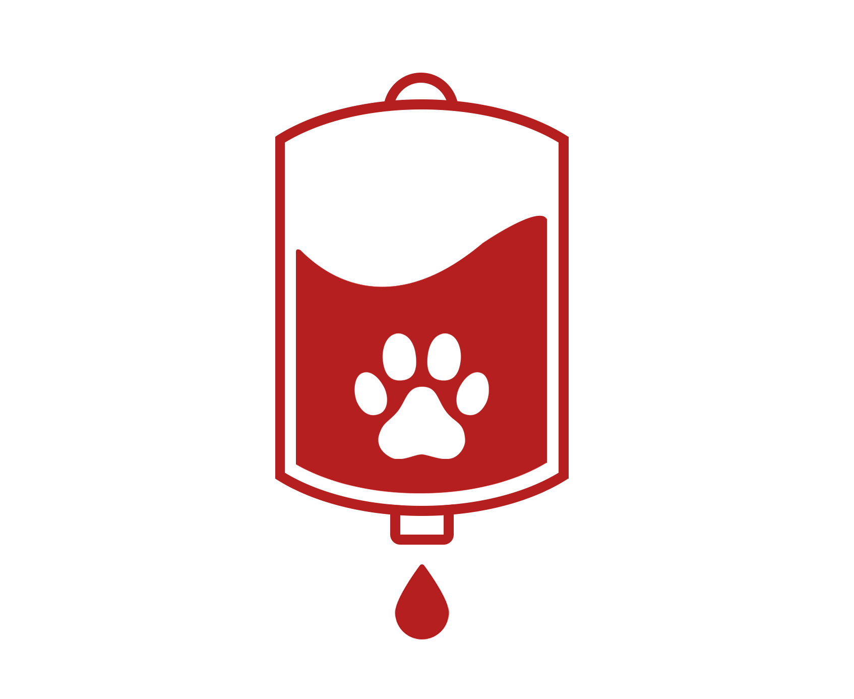 반려동물 헌혈 관련 이미지