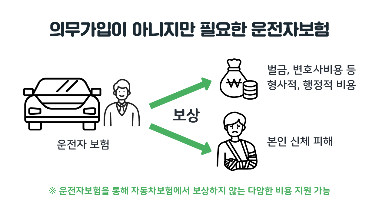 고령운전자 교통안전교육, 보험료 5% 할인되는 이유