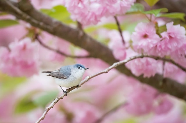 네이버 바로가기 사진