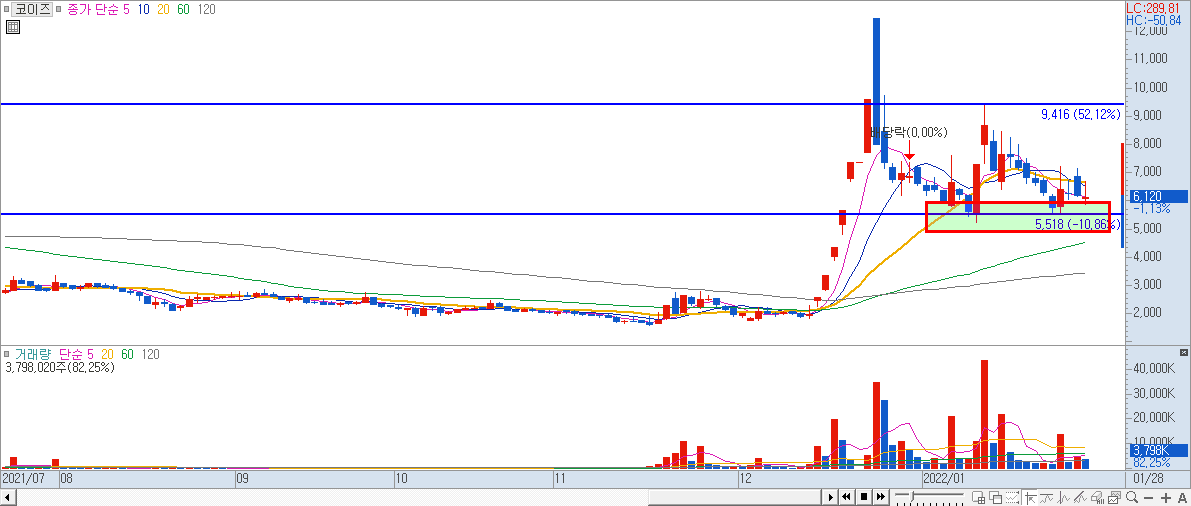 코이즈 일봉 차트