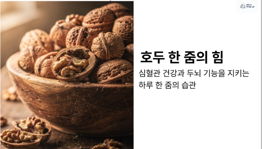 호두 효능 대표이미지