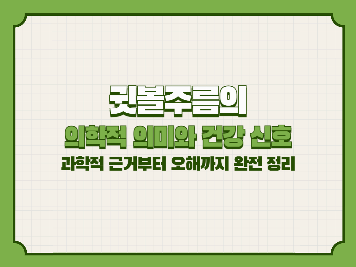 귓볼주름의 의학적 의미와 건강 신호 &ndash; 과학적 근거부터 오해까지 완전 정리