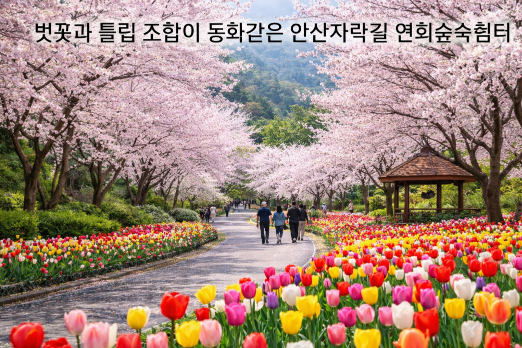 벚꽃&middot;튤립 동시 만개, 안산자락길 연희숲속쉼터 지금 가야 하는 이유