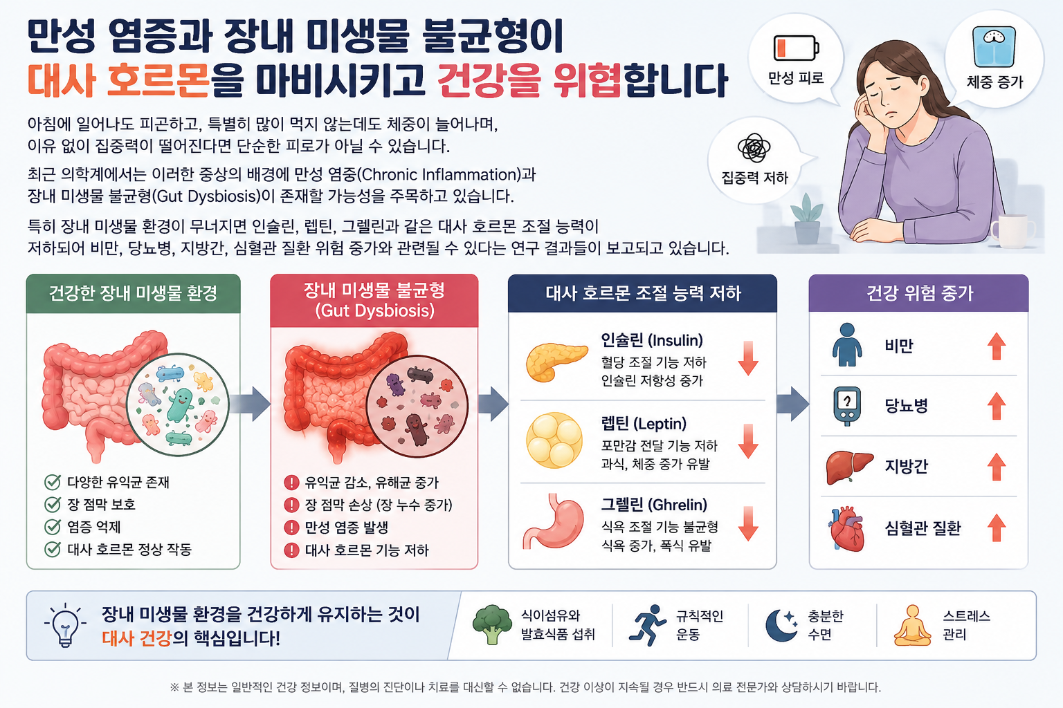 만성 염증과 장내 미생물 불균형