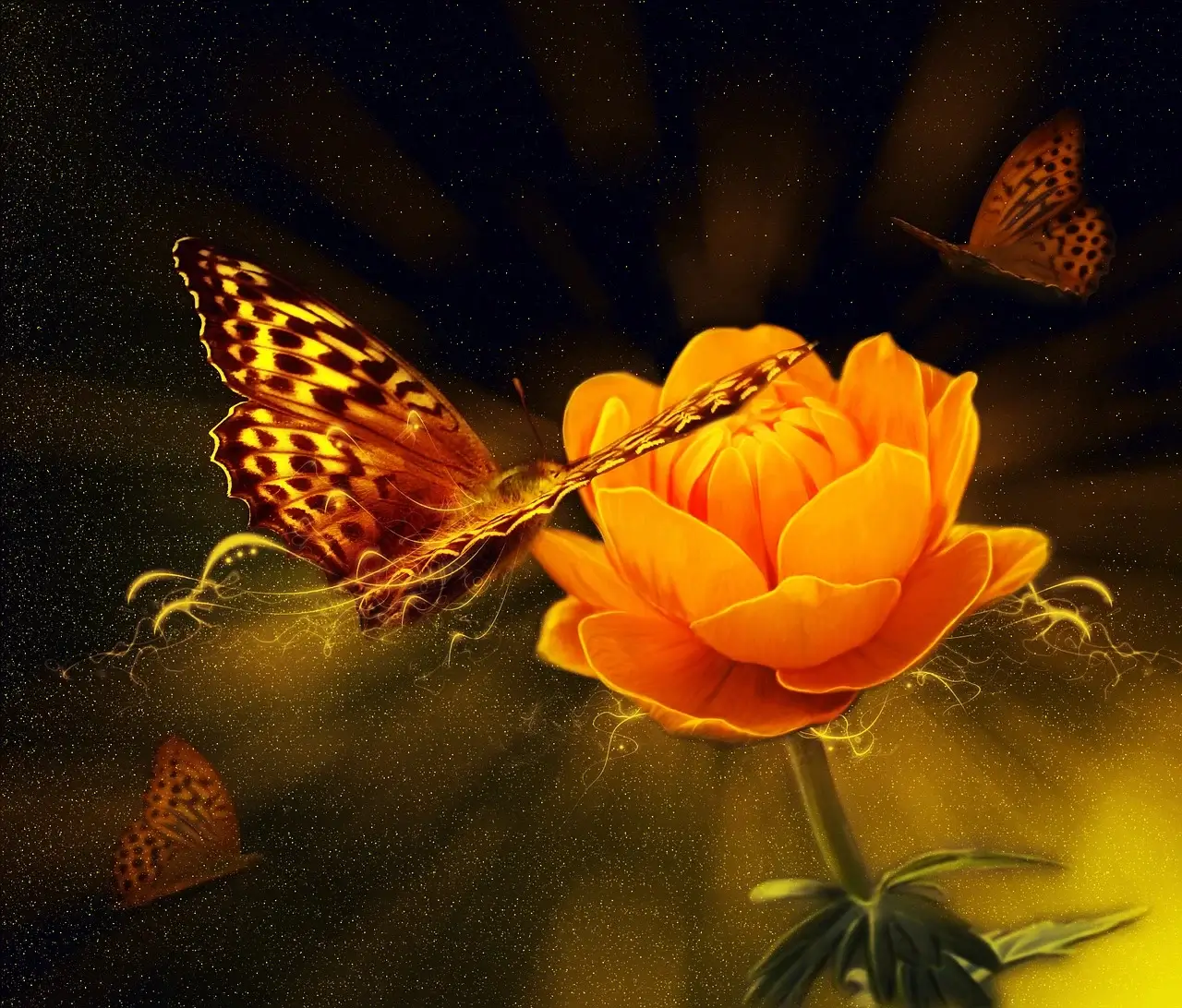 능수화 키우기