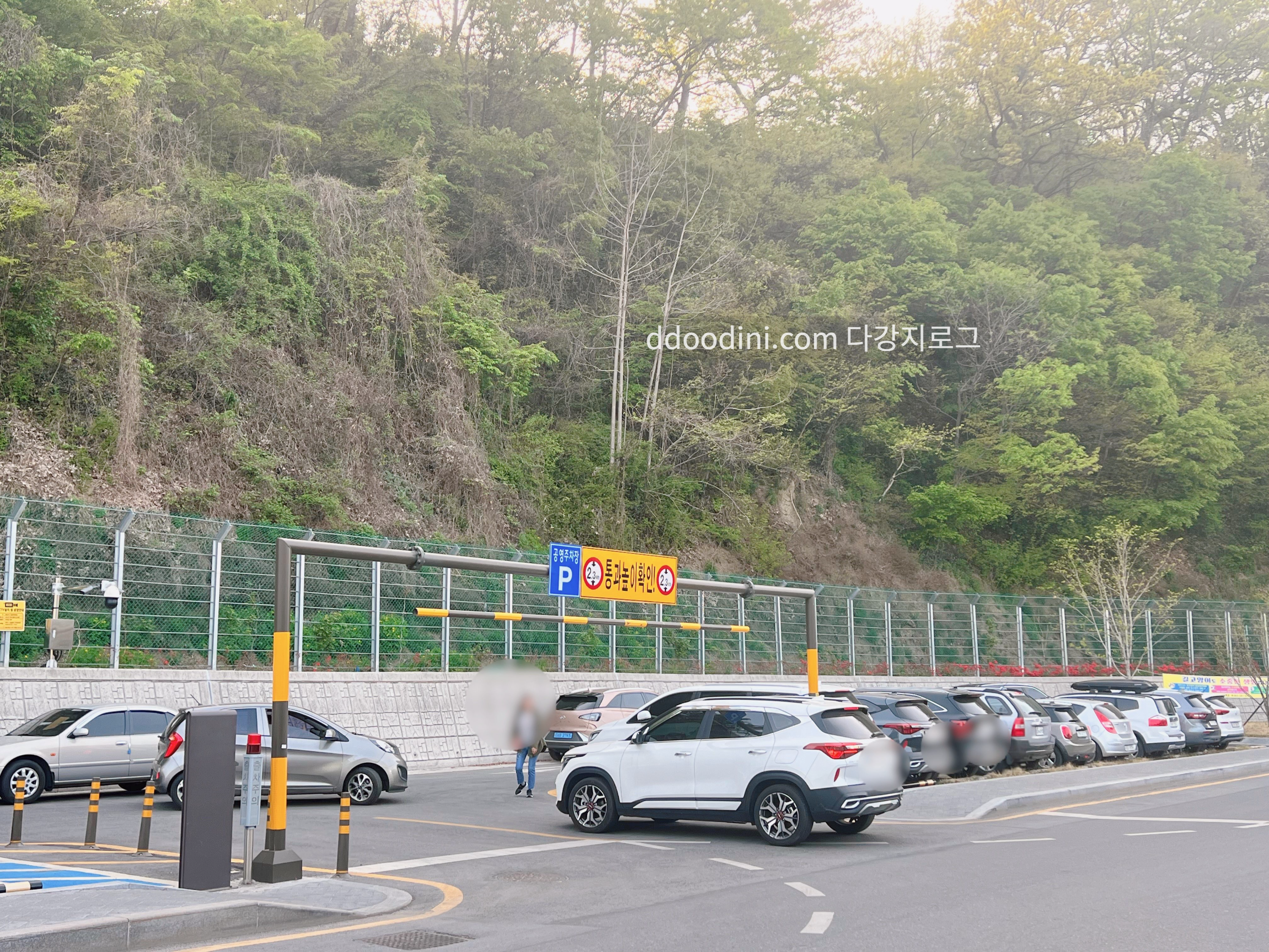 전주 완산꽃동산 주차