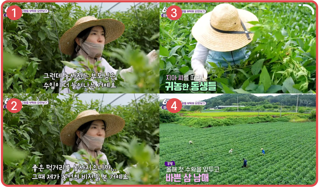 농지은행 농지연금 조회 