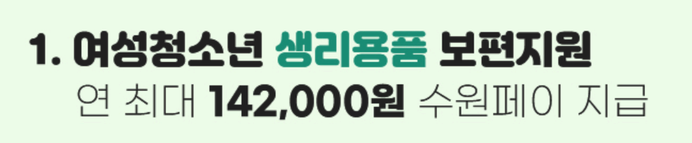 여성청소년 생리용품 보편지원