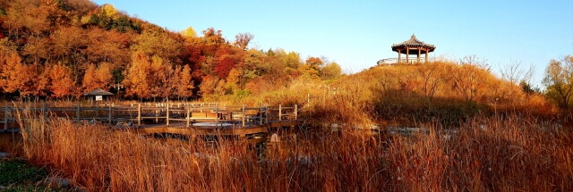 가을 감성 폭발! 인천&middot;부천 단풍 포토존 &amp; 인생샷 명소 추천