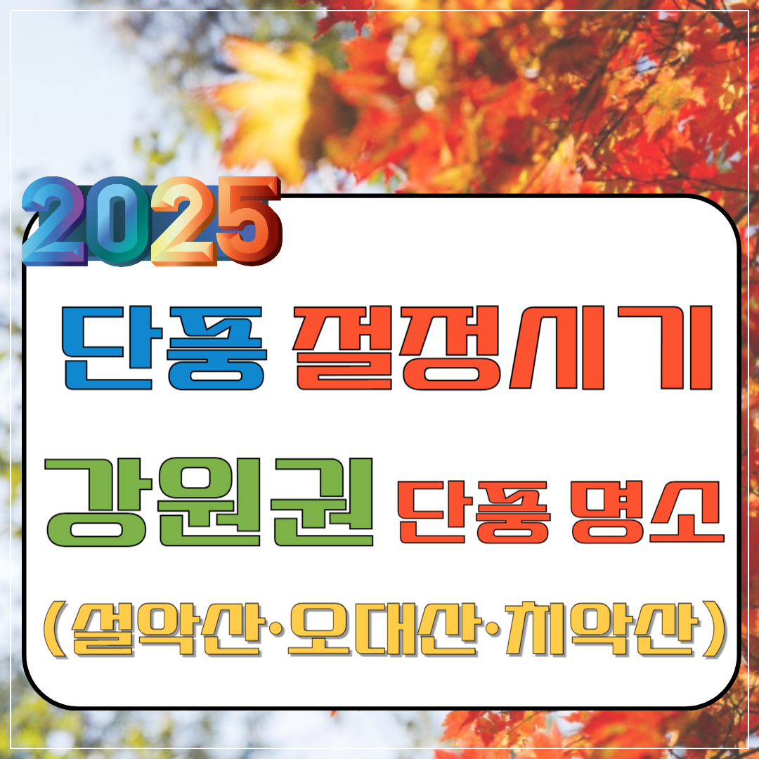 2025년 단풍 절정 시기 &ndash; 강원권 단풍 명소(설악산&middot;오대산&middot;치악산) 이미지