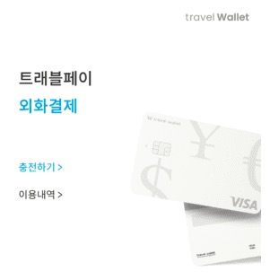 트래블월렛-충전하기