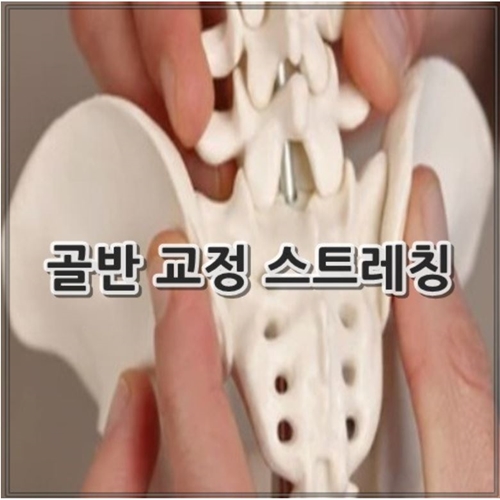 골반 교정 스트레칭