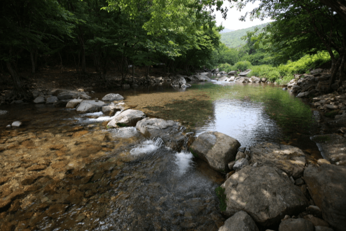 장성군 남창계곡