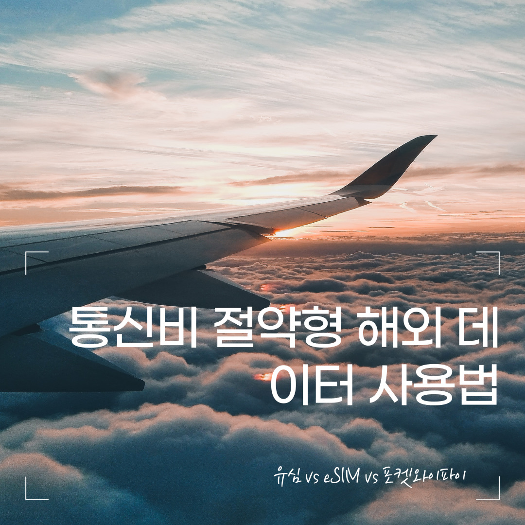 유심 vs eSIM vs 포켓와이파이