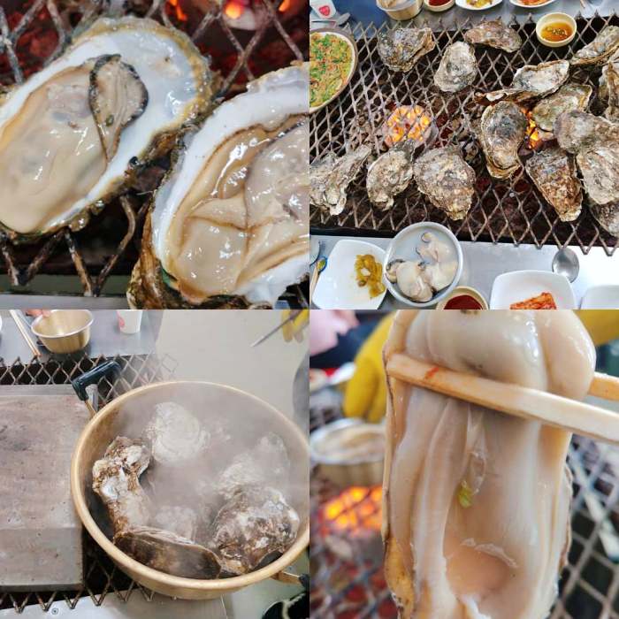 생방송오늘저녁 섬진강 하동 벚굴 구이 강굴 벚굴찜 벚굴전 벚굴죽 재첩국 재첩회무침 맛집 추천