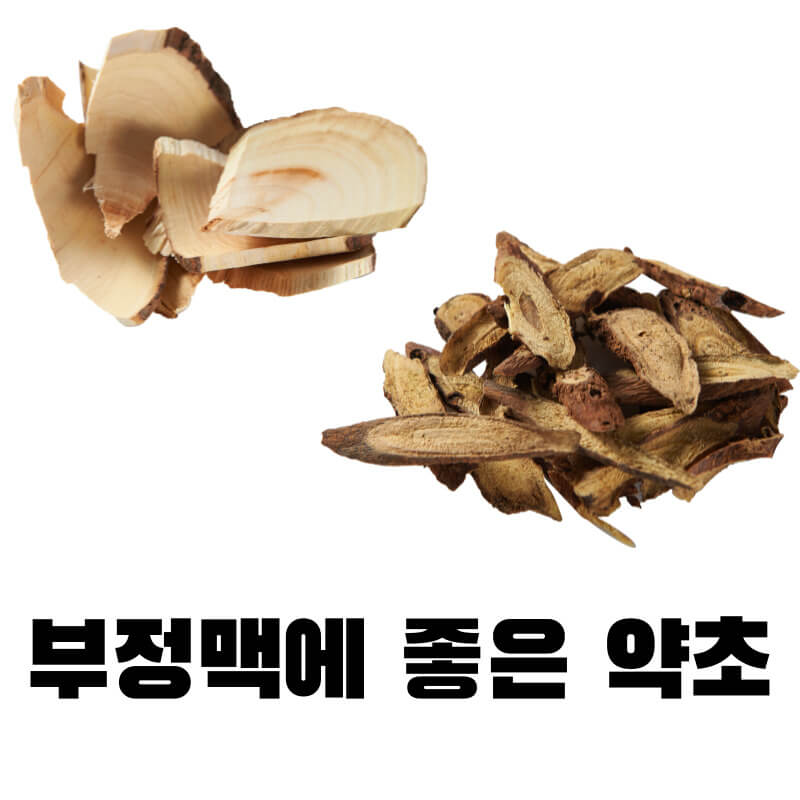 부정맥에 좋은 약초