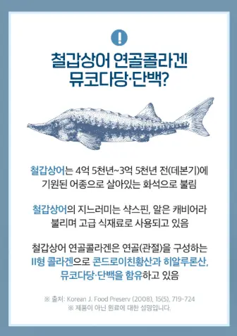 노인 무릎·관절 통증엔 닥터린 콘드로이친 1200 효능·복용법·후기 총정리