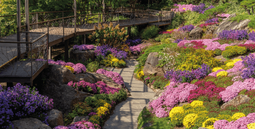 화담숲 꽃이 만발한 정원