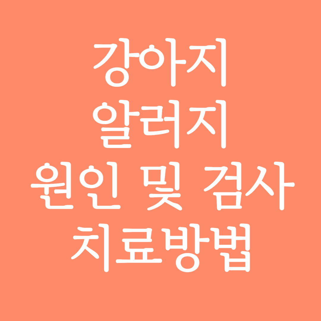 강아지 알러지 원인, 검사 및 치료방법 알아보기