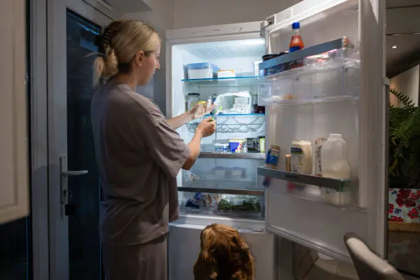 냉장고 물이새는현상