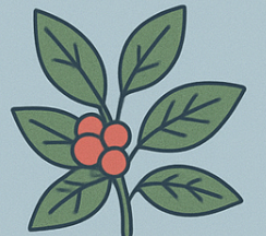 아쉬아간다 먹어도 될까? (효능, 위험, 후기)