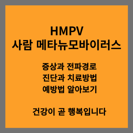 사람 메타뉴모바이러스(HMPV) 증상과 전파경로, 진단과 치료, 예방법 알아보기