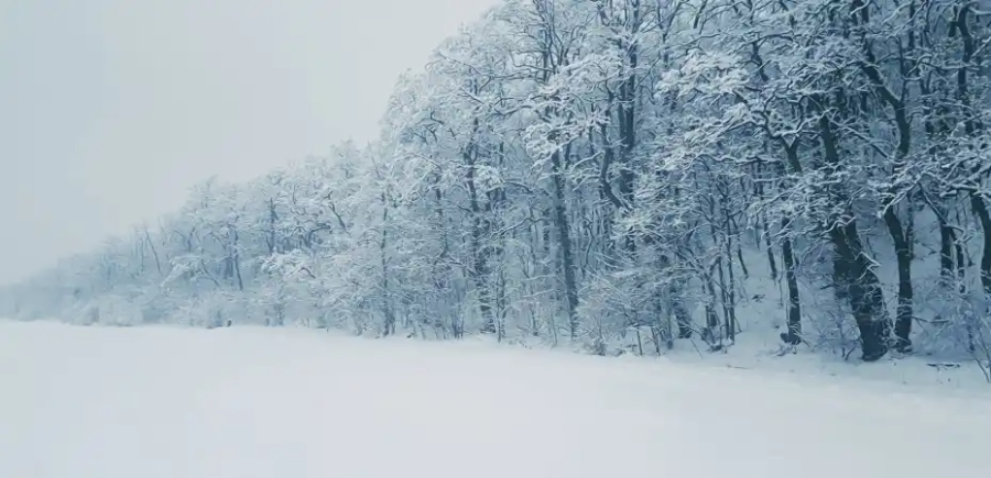 대설