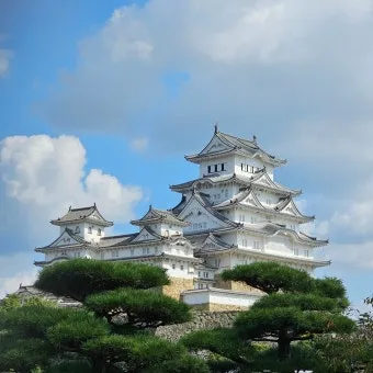 일본여행에서 구매한 빵 과자 기내반입 가능할까 기내반입금지 규정 완벽 안내_12