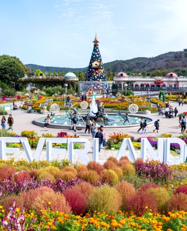 에버랜드 자유이용권 할인꿀팁