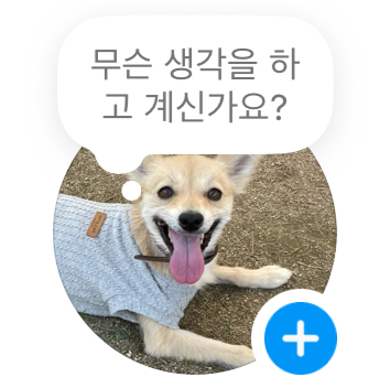 귀여운 우리집 강쥐