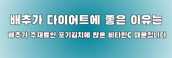  배추가 다이어트에 좋은 이유는 배추가 주재료인 포기김치에 많은 비타민C 때문입니다