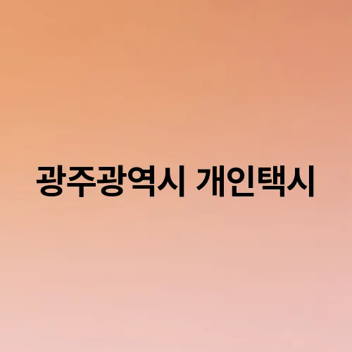 광주광역시 개인택시