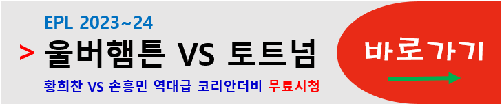 울버햄튼 토트넘 코리안더비