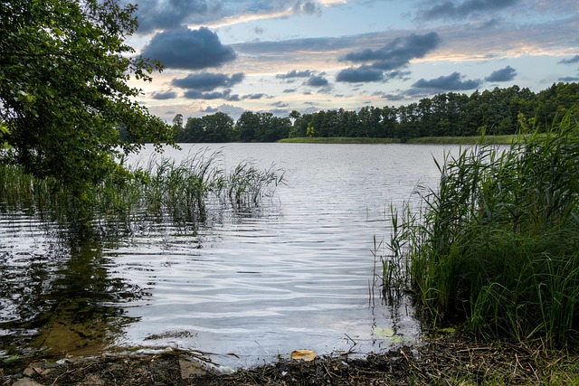 숲나들e 활용 꿀팁 가이드: 전국 자연휴양림 완전정복