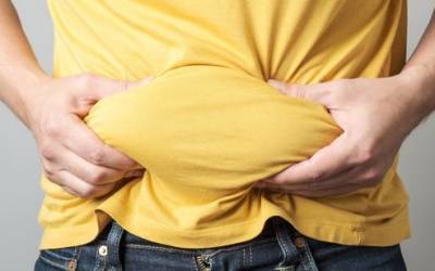 복부비만다이어트