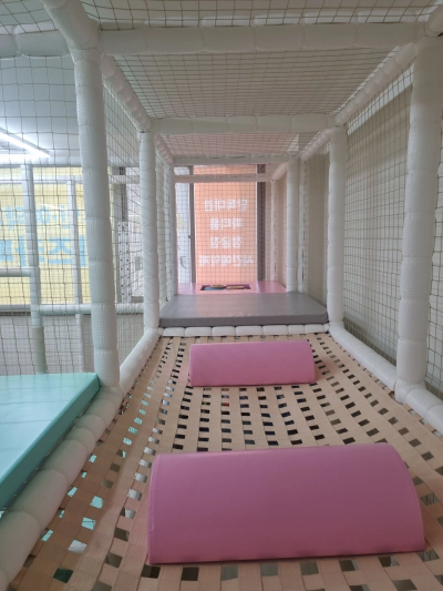 제니스키즈카페 신영통점 화성 반월동 주변 내돈내산 후기