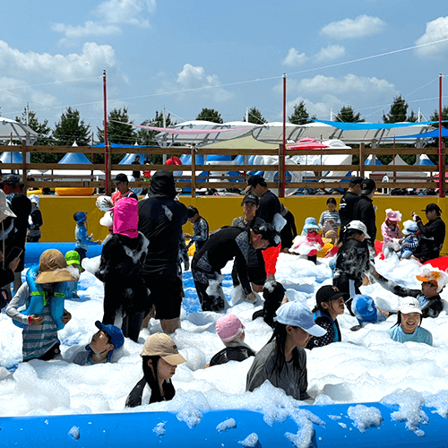 삼락생태공원 물놀이장