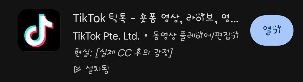 틱톡 어플 사진