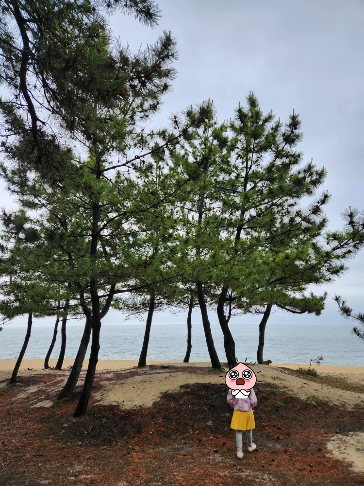 송정해변 2