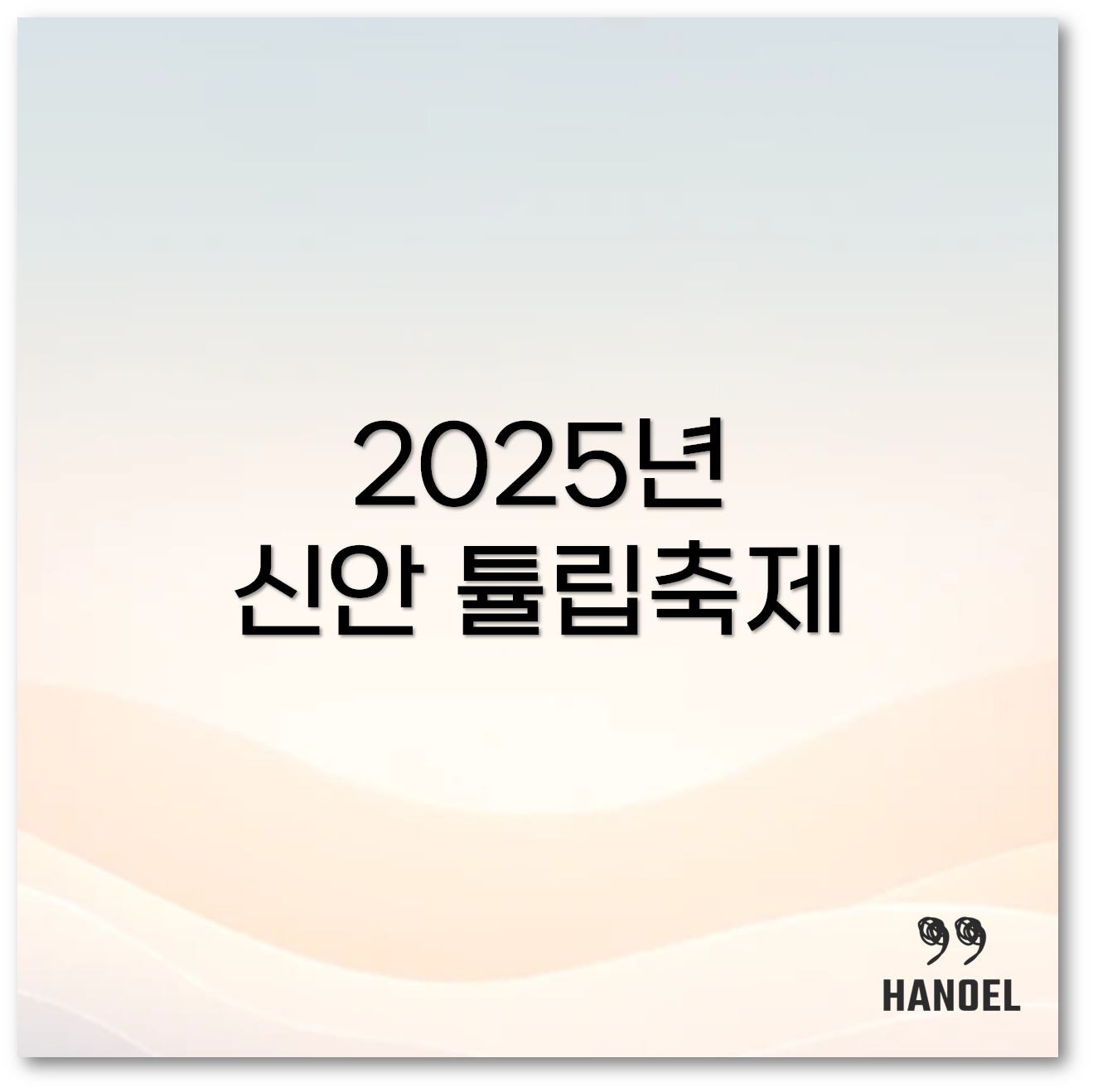 신안 튤립축제
