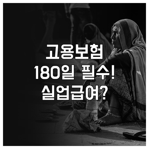 나의 고용보험 이력 확인 필수 절차와..