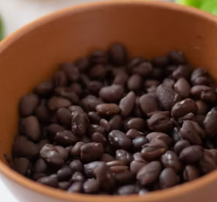 단백질 많은 음식 식물성 동물성