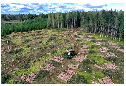 산림기능사 자격증 취득 방법 시험 일정 연봉