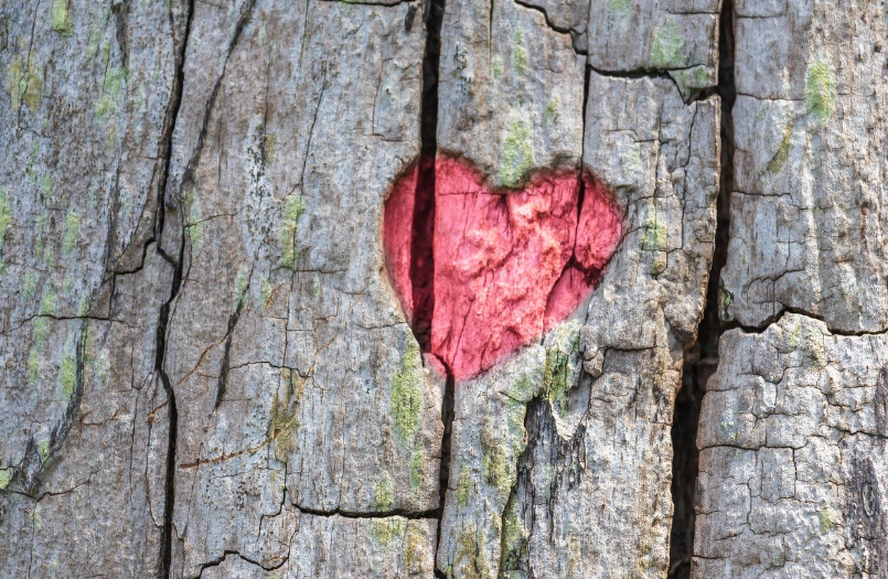 이타심과 인간관계 – 나눔과 배려가 관계에 미치는 영향