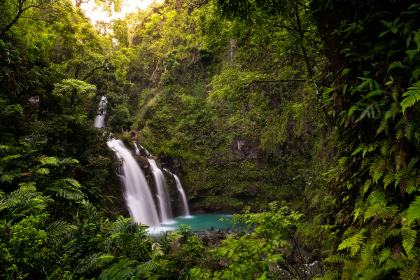 마우이-트윈-폴스-사진