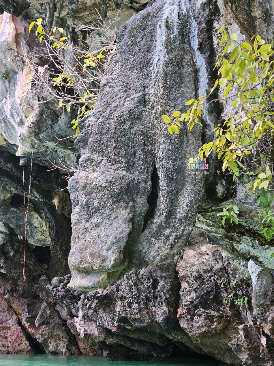 제임스 본드섬 & 팡응아 팡아만 베이 투어 솔직후기 + 가격 할인예약 푸켓 가볼만한곳
