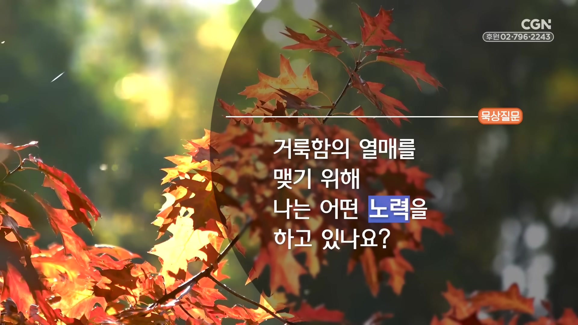 거룩함의 열매를 맺기 위해 나는 어떤 노력을 하고 있나요?