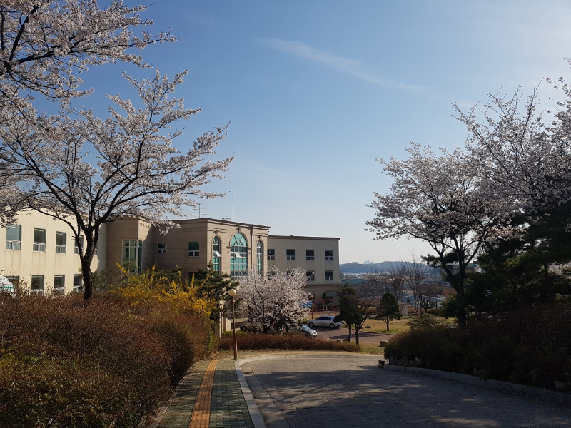 파주시 조리읍 정형외과 유명한 곳 잘하는 곳 추천 TOP 5